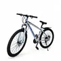 Велосипед 29" NewSpeed MTB-2-29