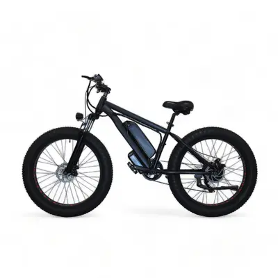 Електровелосипед 26" NewSpeed E-BIKE-10