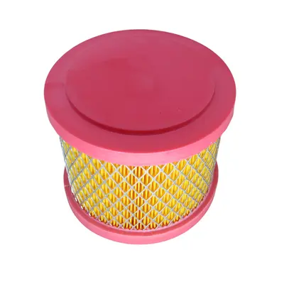 Фільтр повітряний (елемент) Shineray XY250GY-6C