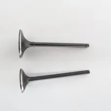 Клапана (впуск+випуск) 172FMM Shineray XY250GY-6B