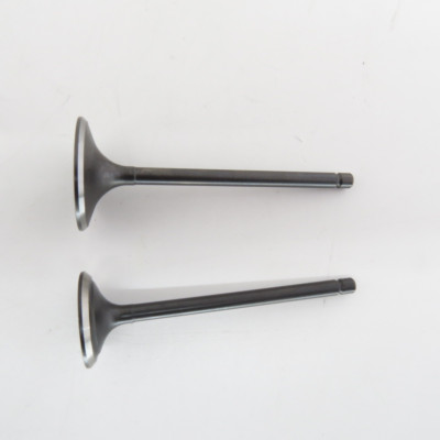 Клапана (впуск+випуск) 172FMM Shineray XY250GY-6B