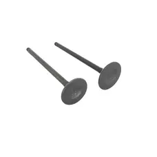 Клапан (впуск+випуск) Lifan LF200-10LV (KPT 4V) Клапан (впуск+випуск) Lifan LF200-10LV (KPT 4V)