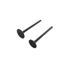 Клапана (впуск+випуск) 171FMM TEKKEN 250