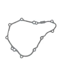 Прокладка кришки двигуна, ліва 171FMM TEKKEN 250