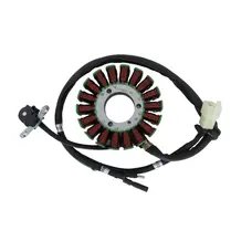 Статор генератора 171FMM TEKKEN 250