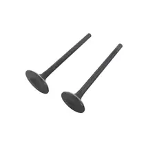 Клапана (впуск+випуск) 171FMM KOVI 250-4Т (FE250 ADVANCE)