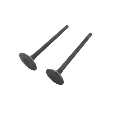 Клапана (впуск+випуск) 171FMM KOVI 250-4Т (FE250 ADVANCE)