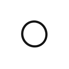 Ущільнююче кільце кришки регулювання клапанів ATV Orix150