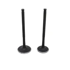 Клапана (впуск+випуск) KOVI 300-4Т (NB300F ADVANCE)