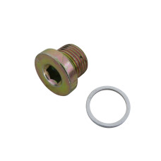 Болт зливного отвору масла + шайба M17*1.5