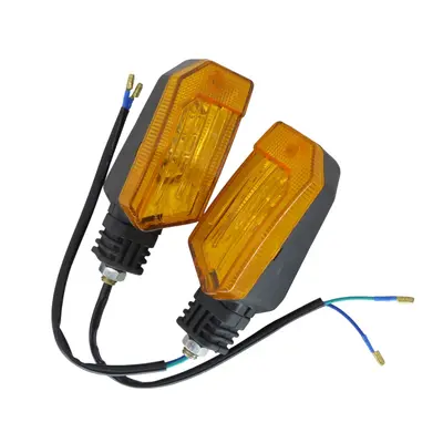 Поворот передній (л+п) LED 12V FADA БІЗОН