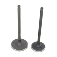 Клапана (впуск+випуск) ATV SharX 300сс