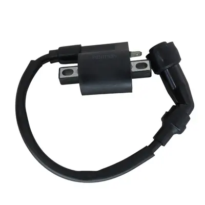 Котушка запалювання XY300GY-6C (VXR 300)