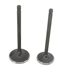 Клапан (впуск+випуск) XY300GY-6C (VXR 300)