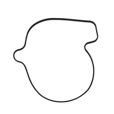 Ущільнююче кільце кришки водяного насосу 650 ATV ODES