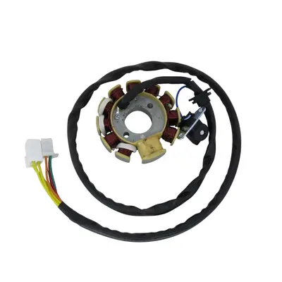 Статор генератора ATV SharX 250сс