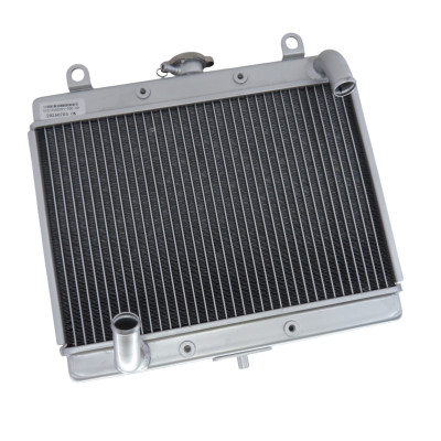 Радіатор охолодження ATV SEGWAY SNARLER AT5L