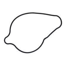 Ущільнююче кільце кришки водяного насосу KOVI KT-S7 300-4Т (YBS300 LITE R)