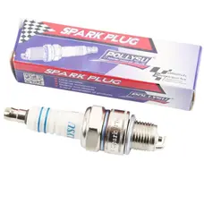 Свічка запалювання Pollysu 2Т E6TC M14 L12