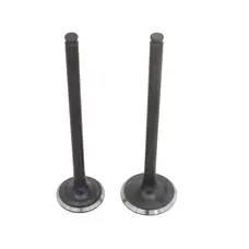 Клапана (впуск+випуск) Shineray XY250GY-6C (CXR 250)