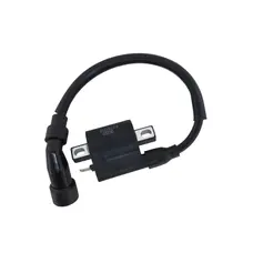 Котушка запалювання Shineray XY250GY-6C (CXR 250)