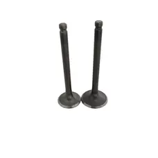 Клапана (впуск+випуск) DELTA JH-70