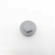 Кришка бокового зливного отвору масла KOVI 300-4Т (CBS MAX300)