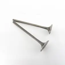 Клапана (впуск+випуск) KOVI 300-4Т (CBS MAX300)