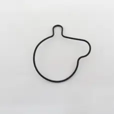 Ущільнююче кільце водяного насосу KOVI 300-4Т (CBS MAX300)