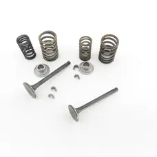 Клапана (впуск+випуск) Delta 125 (L-65 мм) HEADER-260