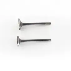 Клапана (впуск+випуск) Active/Delta/ALPHA