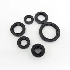 Сальники (комплект) 6 шт Delta/ALPHA Сальники (комплект) 6 шт Delta/ALPHA