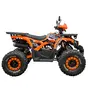 Запчастини для квадроцикла ATV Spark SP125-8