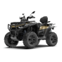  Запчастини для квадроцикла ATV SEGWAY SNARLER AT10L