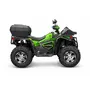 Квадроцикл QUADRATERRA 300 4x4