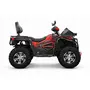 Квадроцикл QUADRATERRA 300 4x4