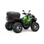 Квадроцикл QUADRATERRA 300 4x4