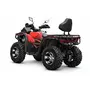 Квадроцикл QUADRATERRA 300 4x4