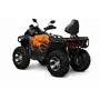 Квадроцикл QUADRATERRA 300 4x4