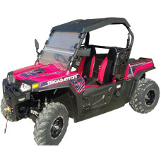 Баггі RZR ML 300 UTV