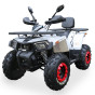 Запчастини для квадроцикла ATV FORTE BRAVES 200