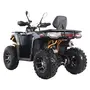 Квадроцикл SHARX 250