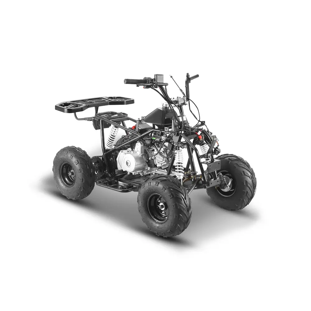 Квадроцикл дитячий Chix 110