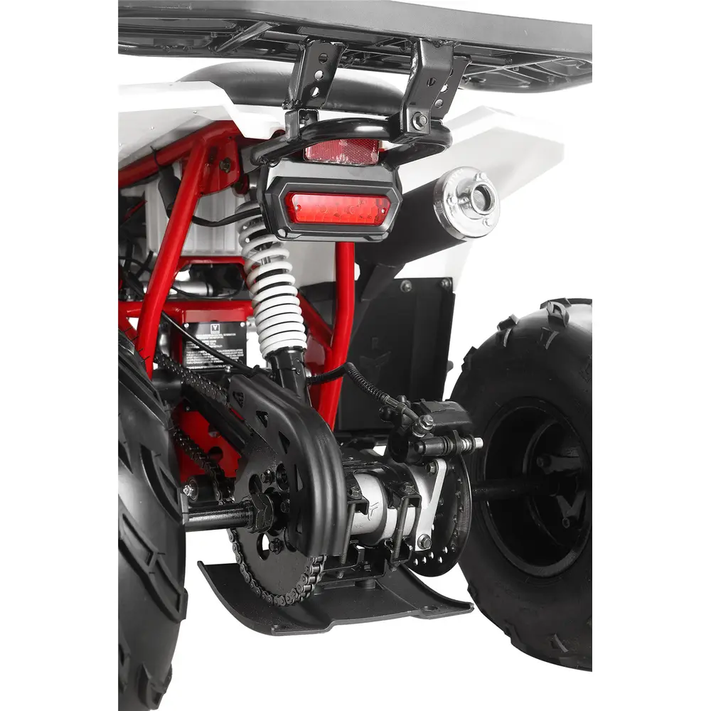 Квадроцикл дитячий Chix 110