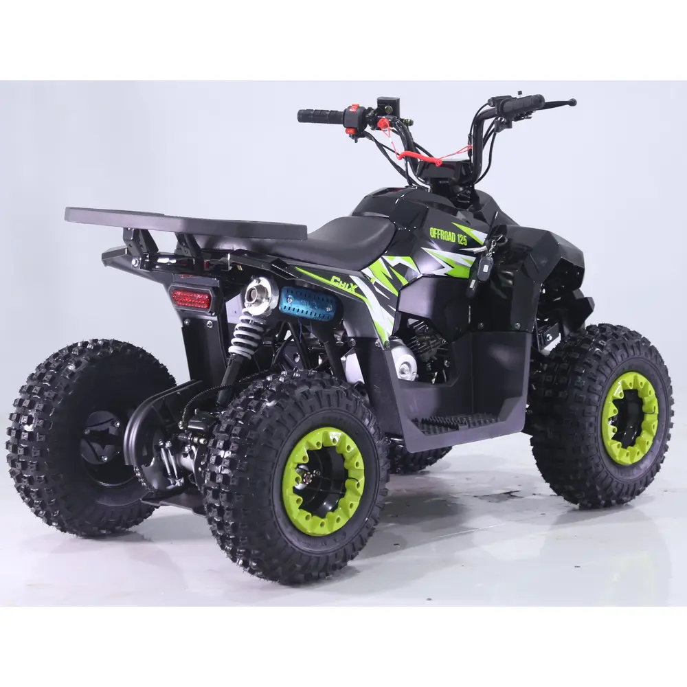 Квадроцикл дитячий Chix 110