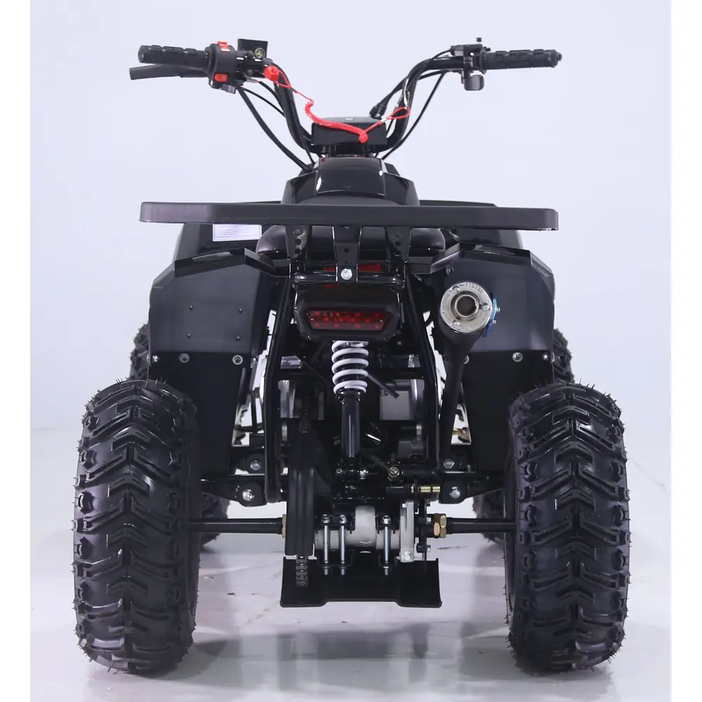 Квадроцикл дитячий Chix 110