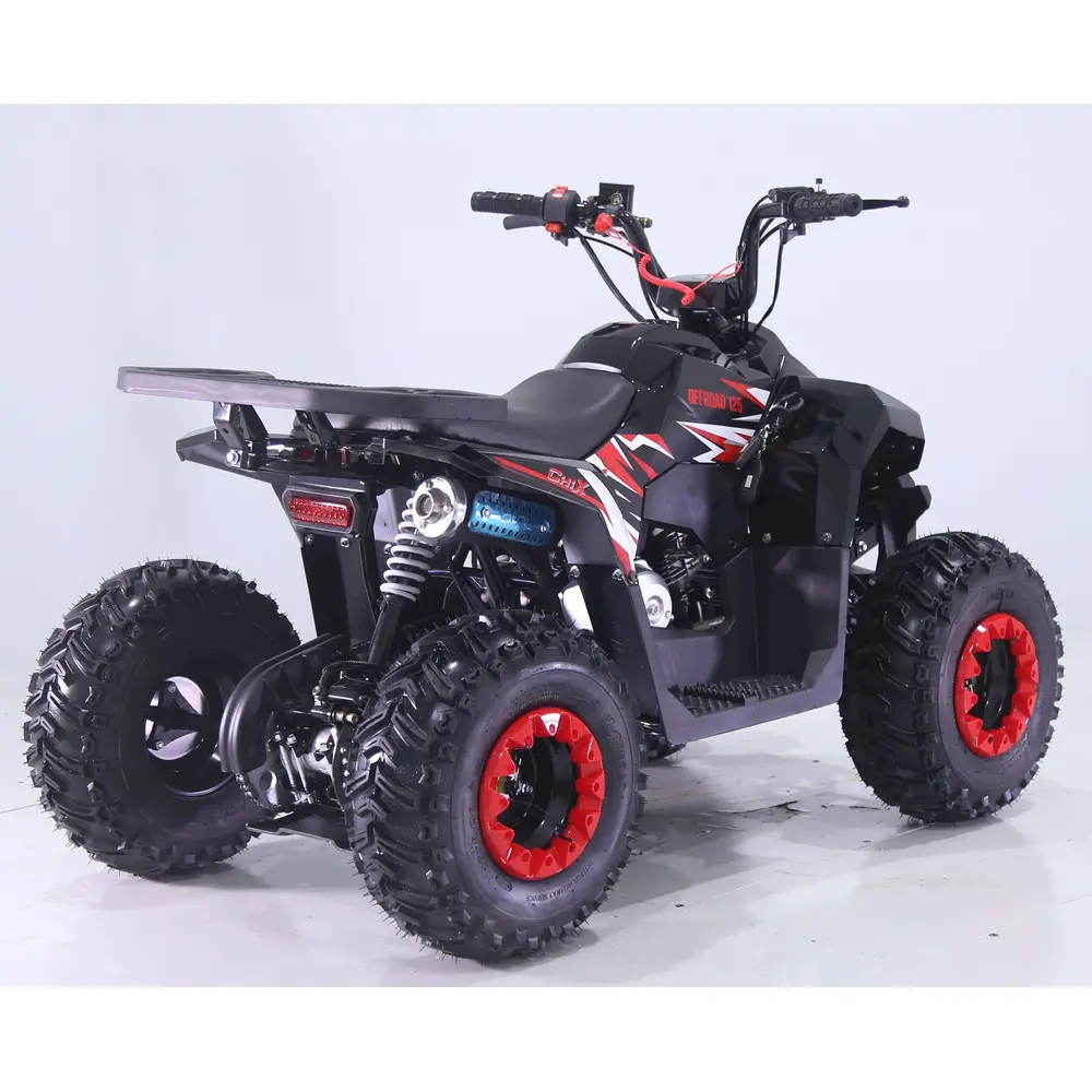 Квадроцикл дитячий Chix 110