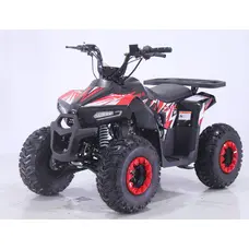 Квадроцикл дитячий Chix 110