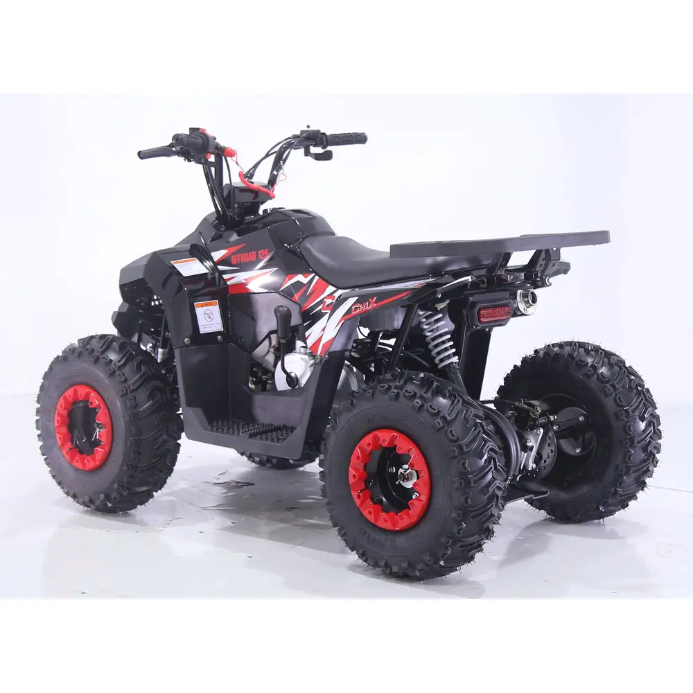 Квадроцикл дитячий Chix 110