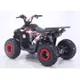 Квадроцикл дитячий Chix 110
